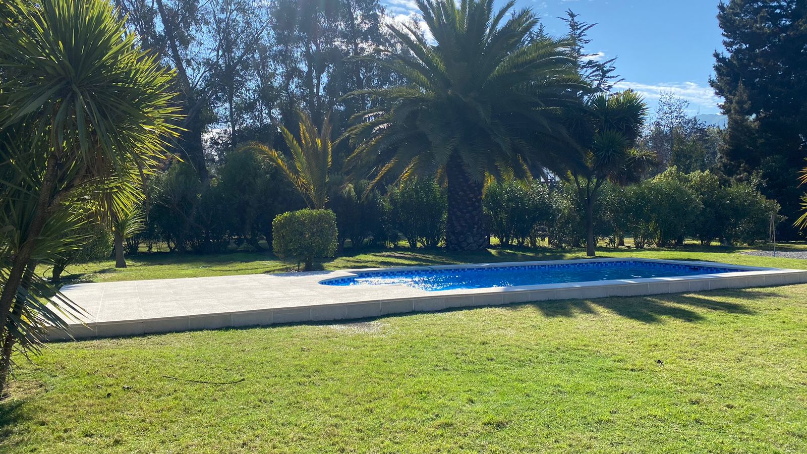 Decoración premium de piscina